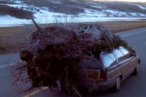 A Ford Taurus with a Christmas tree strapped to the top on a snowy road.