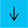 Next Section Icon